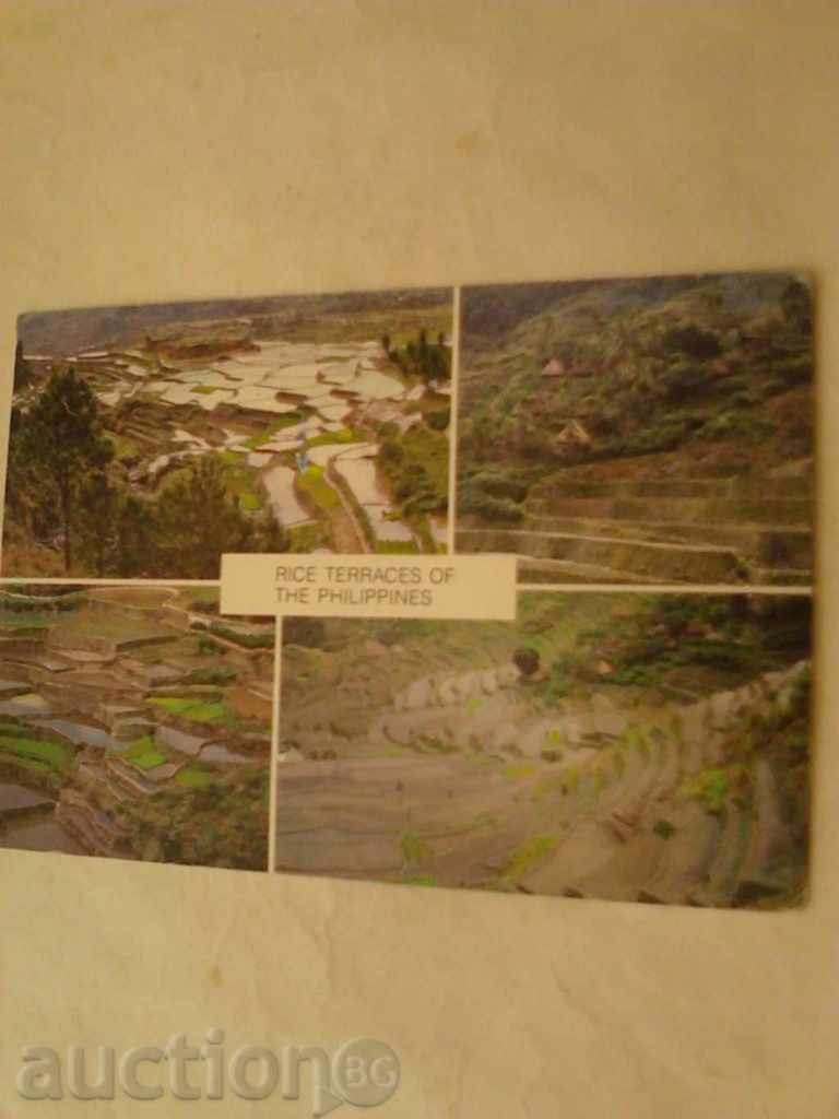 Пощенска картичка Philippines Rice Terraces