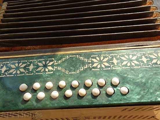 Τα μικρά παιδιά ακορντεόν, μουσικά όργανα, παιχνίδια - 5 Τα μικρά παιδιά ακορντεόν, μουσικά όργανα, παιχνίδια - 5