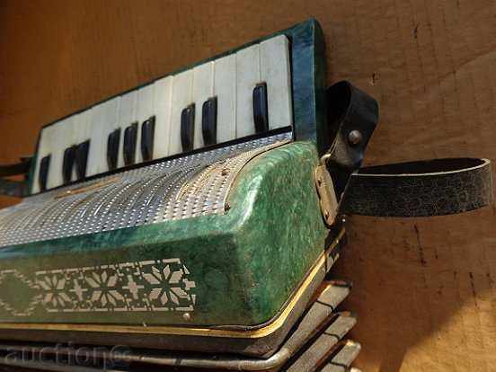 Τα μικρά παιδιά ακορντεόν, μουσικά όργανα, παιχνίδια - 6 Τα μικρά παιδιά ακορντεόν, μουσικά όργανα, παιχνίδια - 6