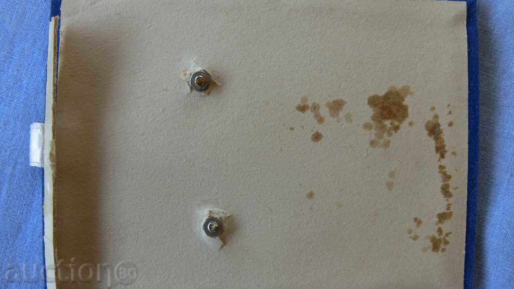 Auction  MEDAL RALLY 1967