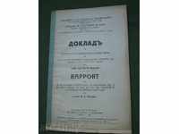 Report by Professor. A. Georgov