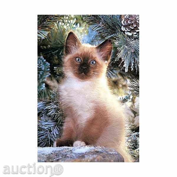 Siamese Kitten - Пъзeл oт 500 чaсти