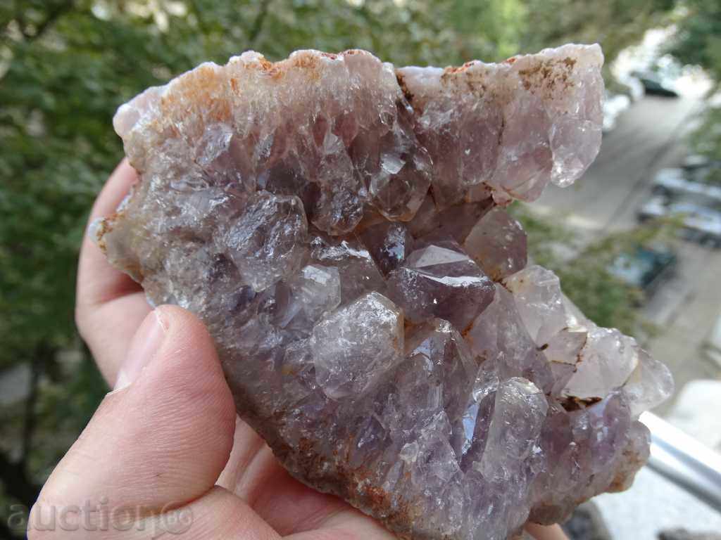 gecko amethyst with price 152.00 BGN | € 77.72 gecko amethyst with price 152.00 BGN | € 77.72