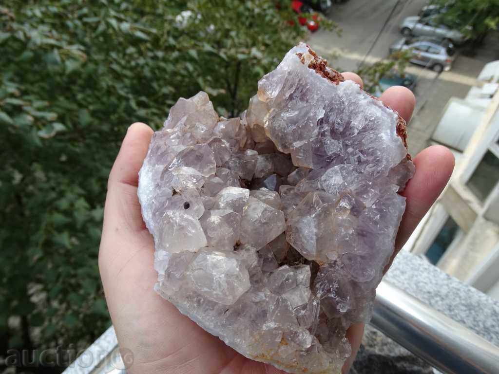 gecko amethyst with price 185.00 BGN | € 94.59 gecko amethyst with price 185.00 BGN | € 94.59