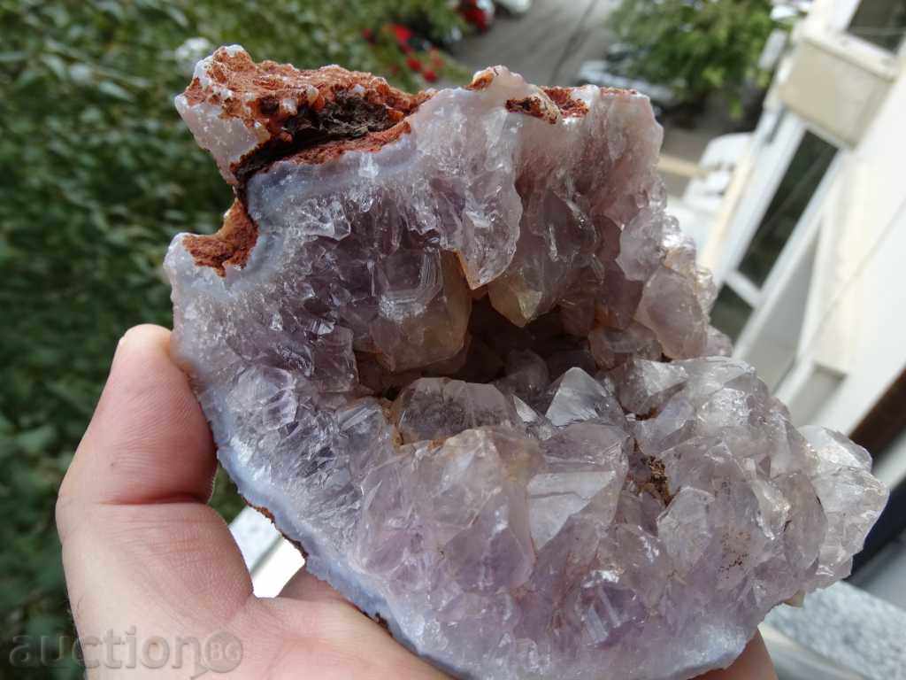 Auction gecko amethyst Auction gecko amethyst