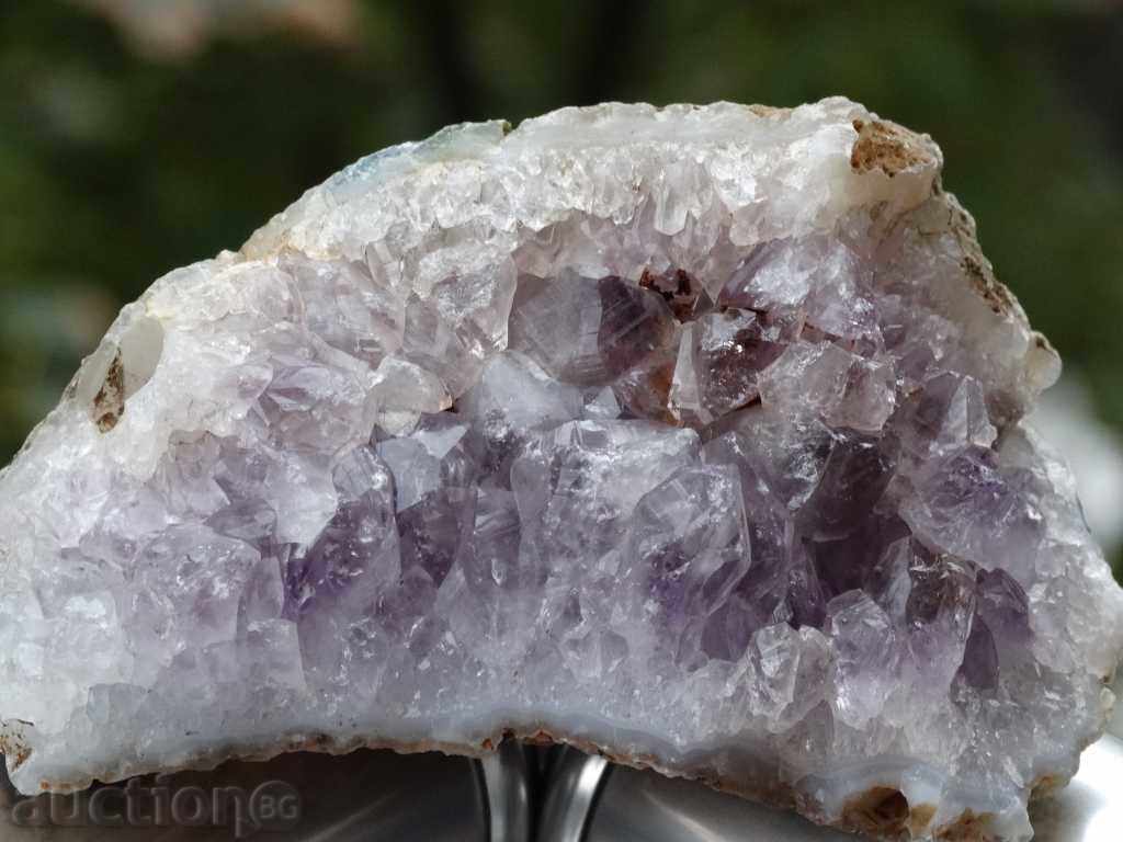 Auction gecko amethyst Auction gecko amethyst