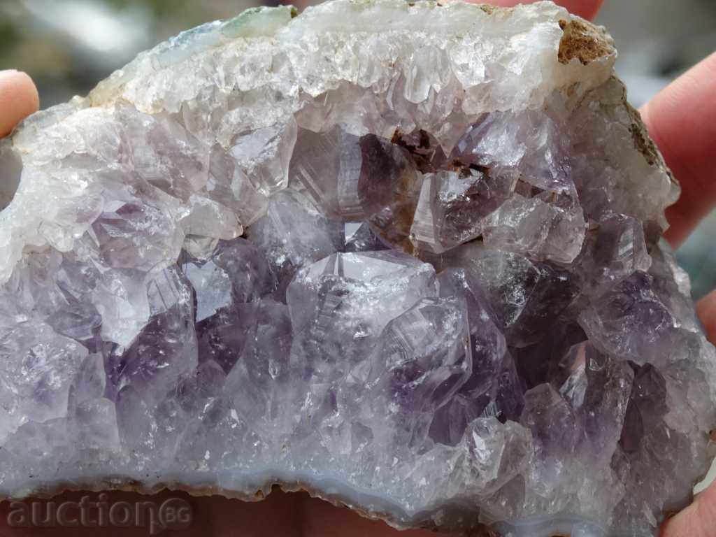 Delivery of gecko amethyst Delivery of gecko amethyst