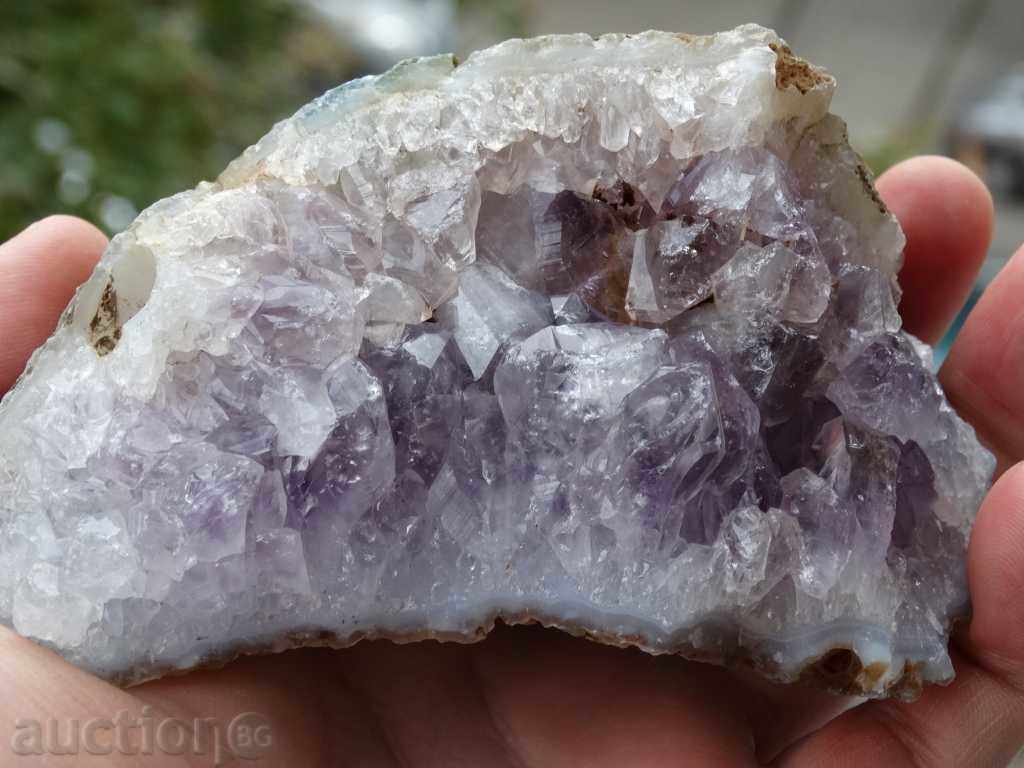 gecko amethyst - 5 gecko amethyst - 5