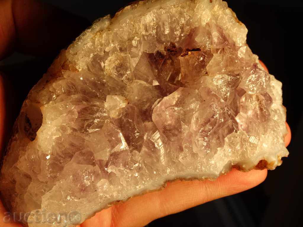 gecko amethyst - 6 gecko amethyst - 6