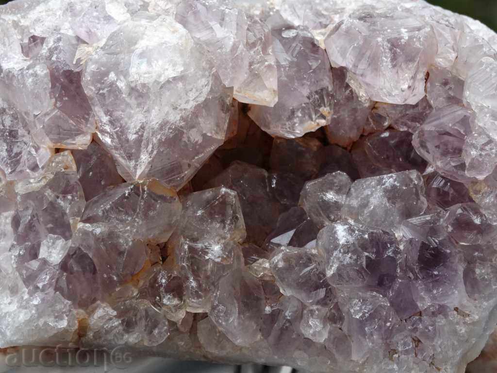 gecko amethyst with price 55.00 BGN | € 28.12 gecko amethyst with price 55.00 BGN | € 28.12