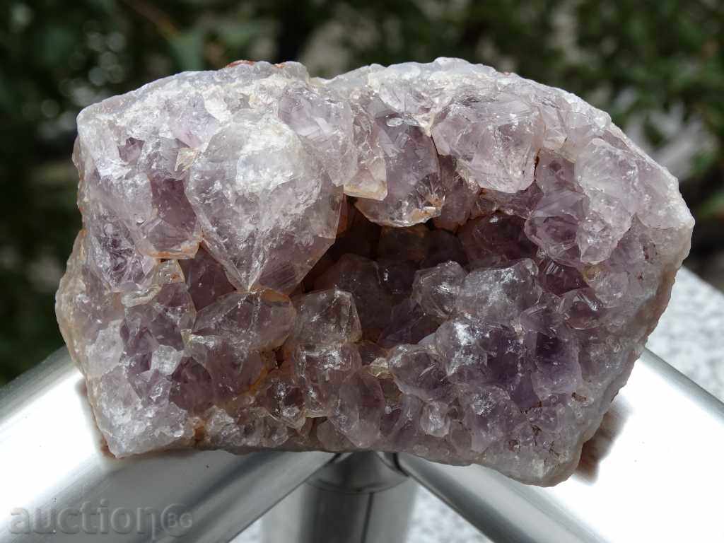 Auction gecko amethyst Auction gecko amethyst