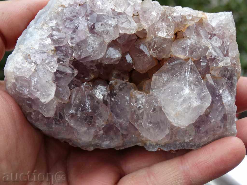 Delivery of gecko amethyst Delivery of gecko amethyst