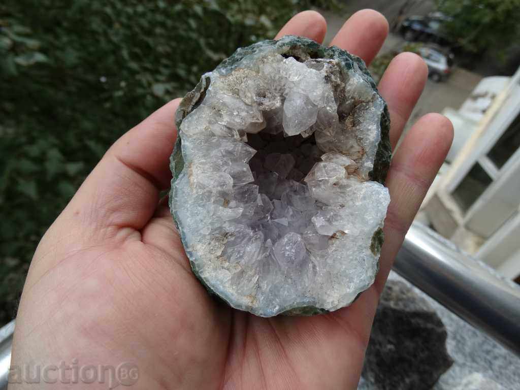 Auction gecko amethyst Auction gecko amethyst