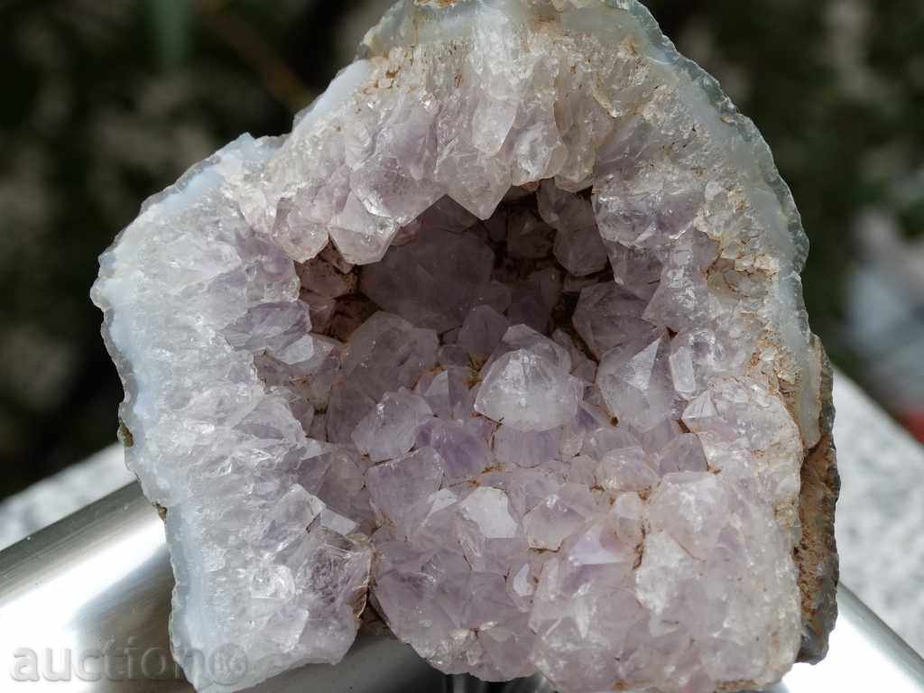 Auction gecko amethyst Auction gecko amethyst