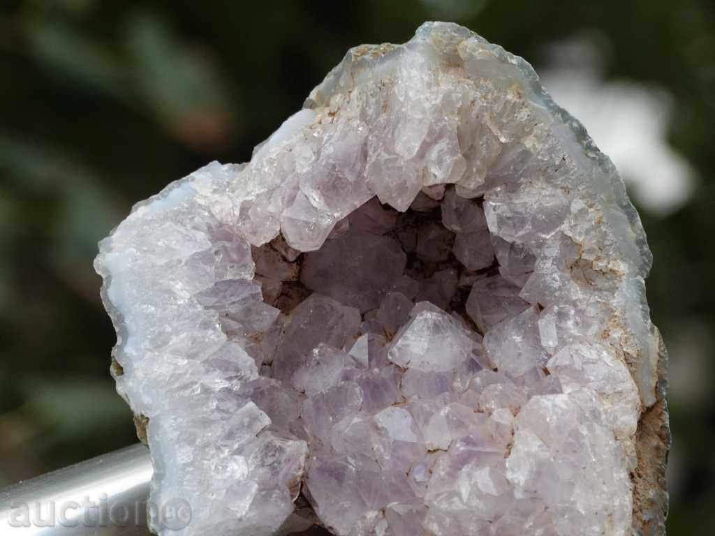 Delivery of gecko amethyst Delivery of gecko amethyst