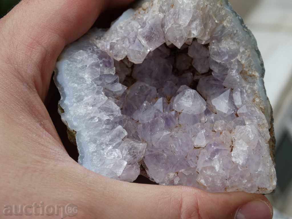 gecko amethyst - 5 gecko amethyst - 5