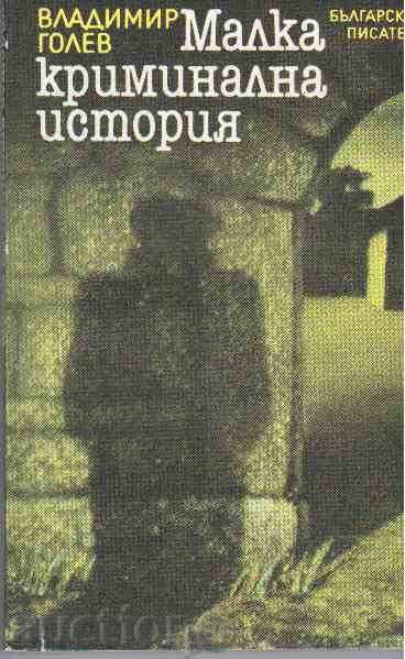 Vladimir Golev - SMALL CRIMINAL HISTORY - novel