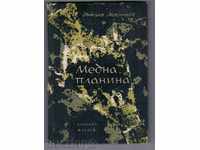CUPRU MUNTE - Nikola Marinov (roman pentru adolescenți)