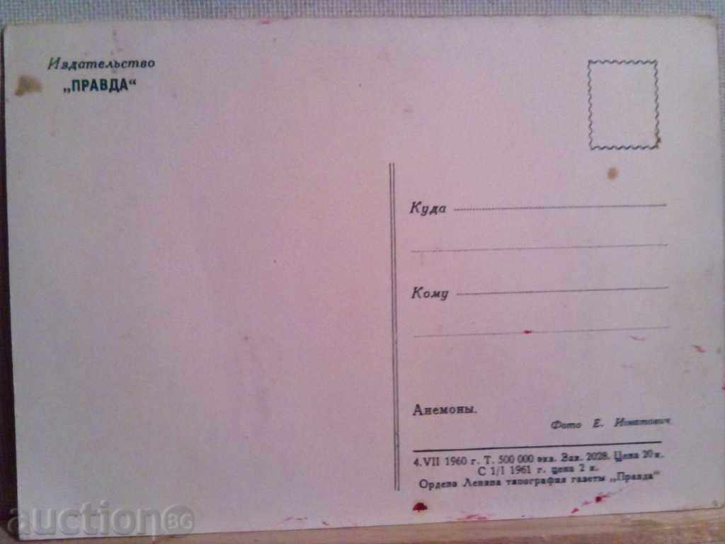 Old greeting card with price 1.00 BGN | € 0.51 Old greeting card with price 1.00 BGN | € 0.51