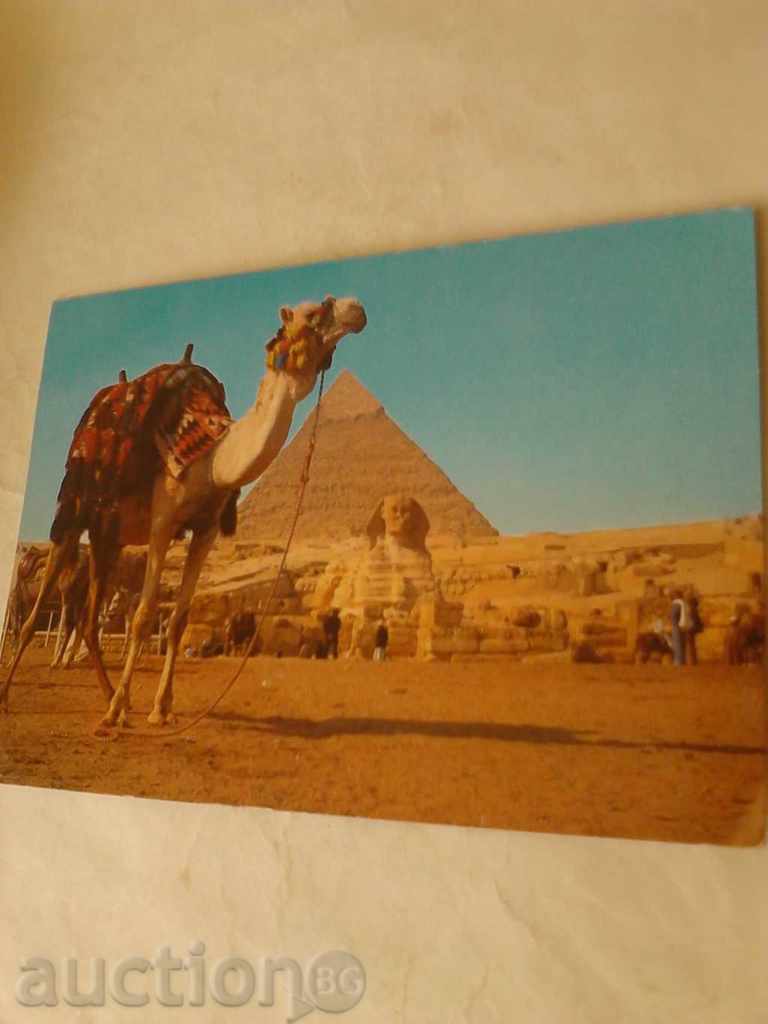 Пощенска картичка Giza The Great Sphinx 1987