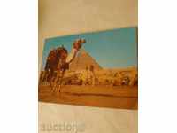 Postcard Giza The Great Sphinx 1987
