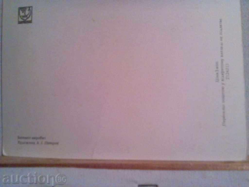 Old greeting card with price 1.00 BGN | € 0.51 Old greeting card with price 1.00 BGN | € 0.51