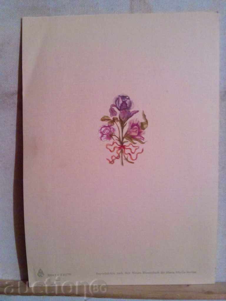 Auction Old greeting card Auction Old greeting card