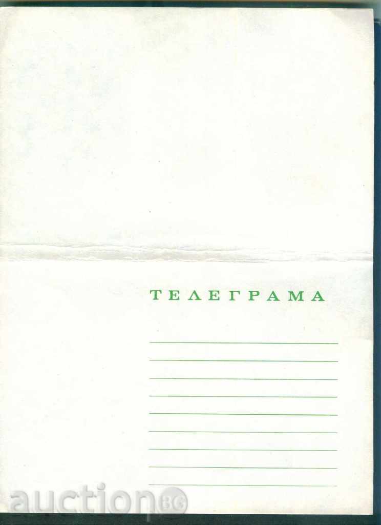 Auction  Illustrated Telegram - LH 888 - 28.5 x 21 cm / G100