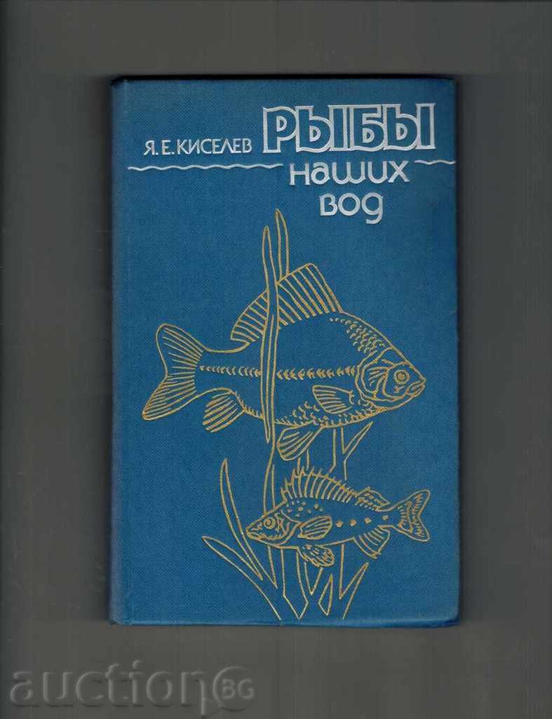 Το ψάρι στο νερό ΜΑΣ - Ια Kiseleva / στα ρωσικά /
