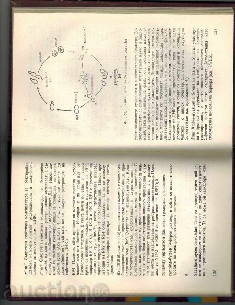 Delivery of GENETIC ENGINEERING GLOSSARY - S. OLIVER Delivery of GENETIC ENGINEERING GLOSSARY - S. OLIVER