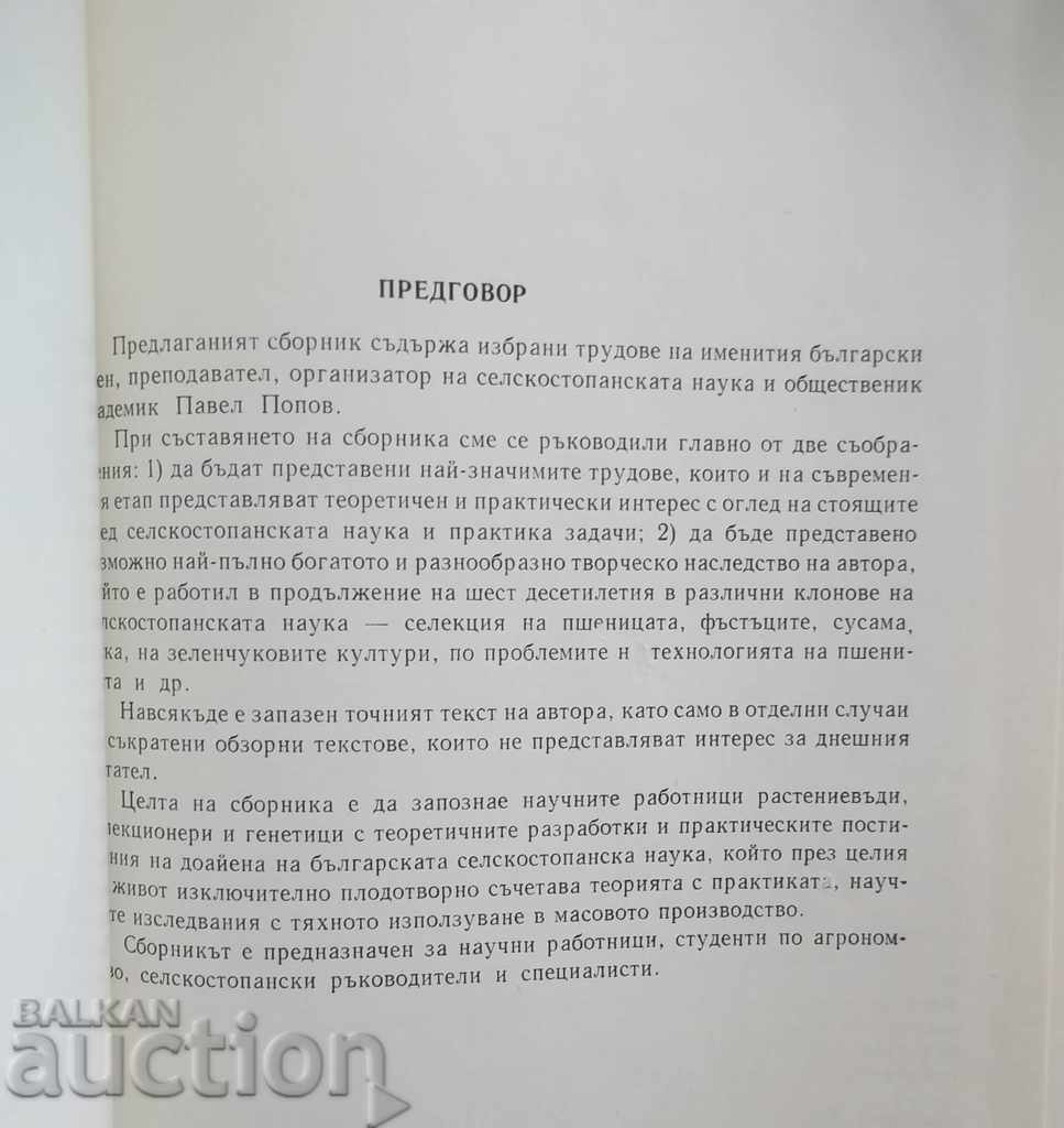 Auction Selected Works - Pavel Popov 1990 Auction Selected Works - Pavel Popov 1990