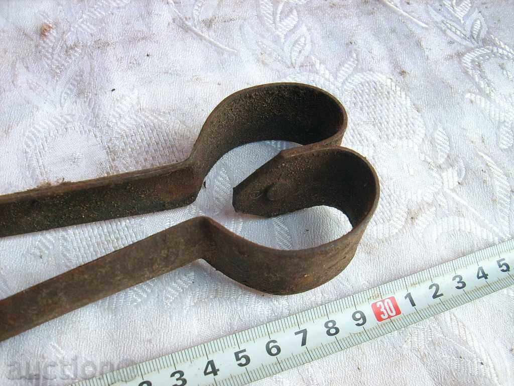 Auction Old sheep shearing shearing sheep Auction Old sheep shearing shearing sheep