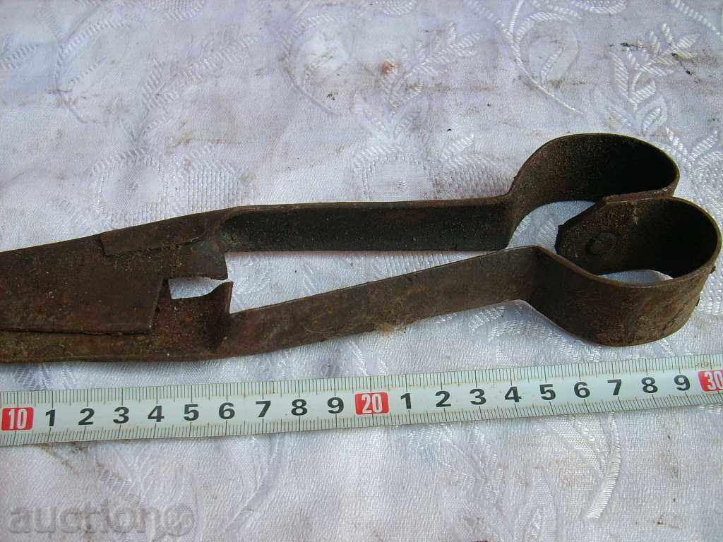 Delivery of Old sheep shearing shearing sheep Delivery of Old sheep shearing shearing sheep