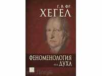 Phenomenology of the spirit