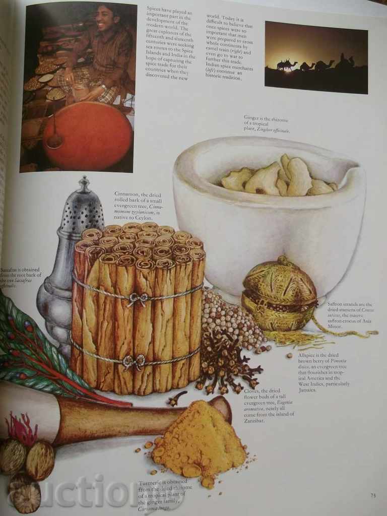 Auction The World Atlas of Food - Jane Grigson 1974 Food Auction The World Atlas of Food - Jane Grigson 1974 Food