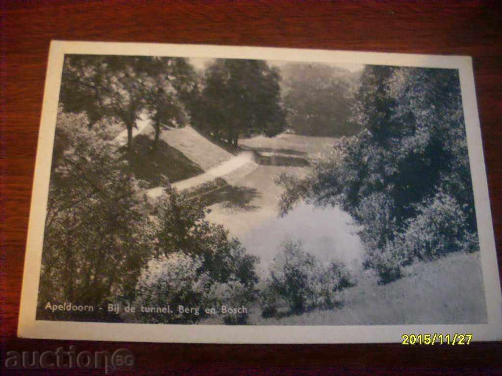 STARA WAS POSTAL CARD - HOLLAND 1948G. STARA WAS POSTAL CARD - HOLLAND 1948G.