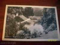 STARA de călătorie POSTCARD - OLANDA 1948.