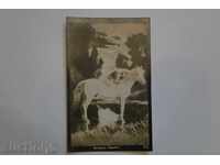 Κάρτα παλιό ερωτικό κορίτσι με το άλογο 1928