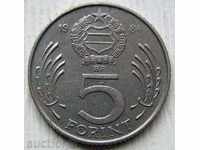 Hungary 5 forint 1984 / Hungary 5 Forint 1984