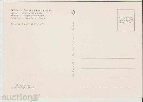 Card Bulgaria Balchik Botanical Garden 1 * with price 0.70 BGN | € 0.36