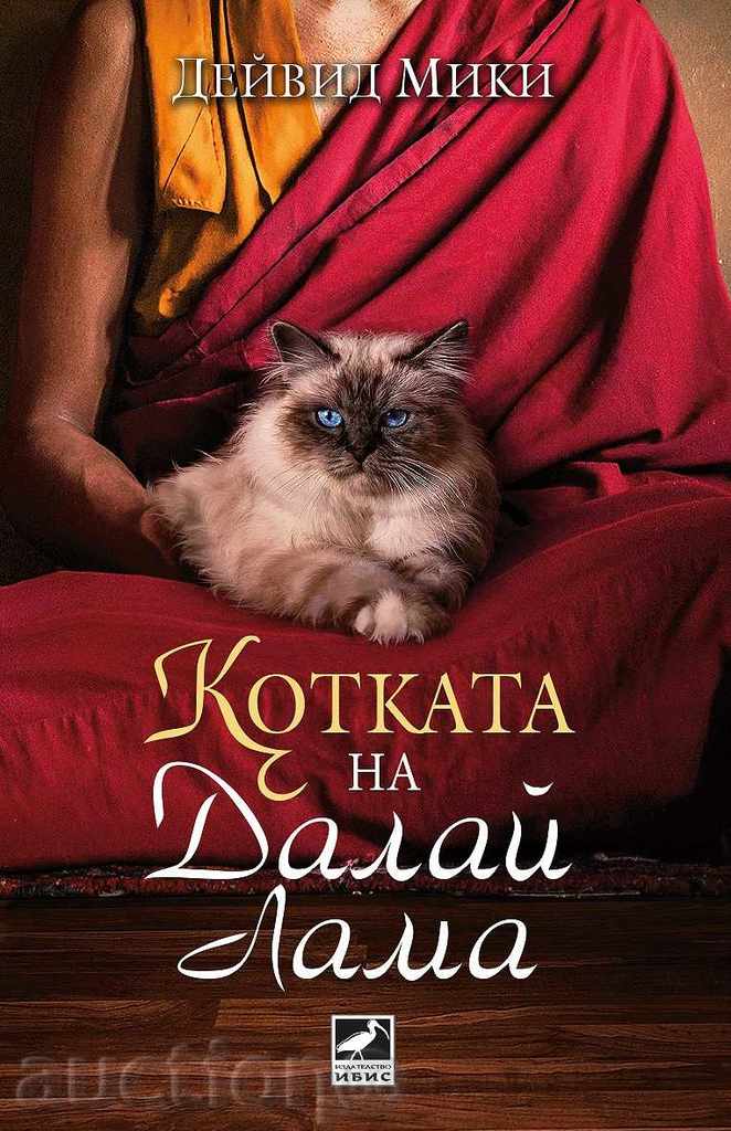 Cat Dalai Lama