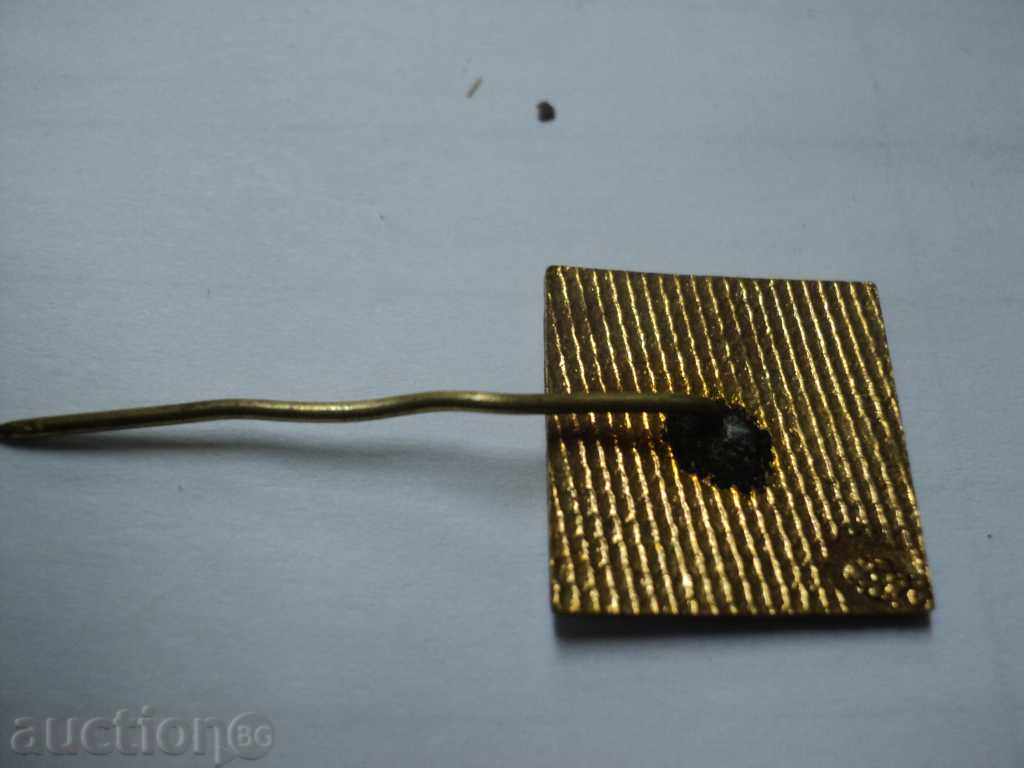 Δημοπρασία -DHZ.KOSTENETS σήμα. Δημοπρασία -DHZ.KOSTENETS σήμα.