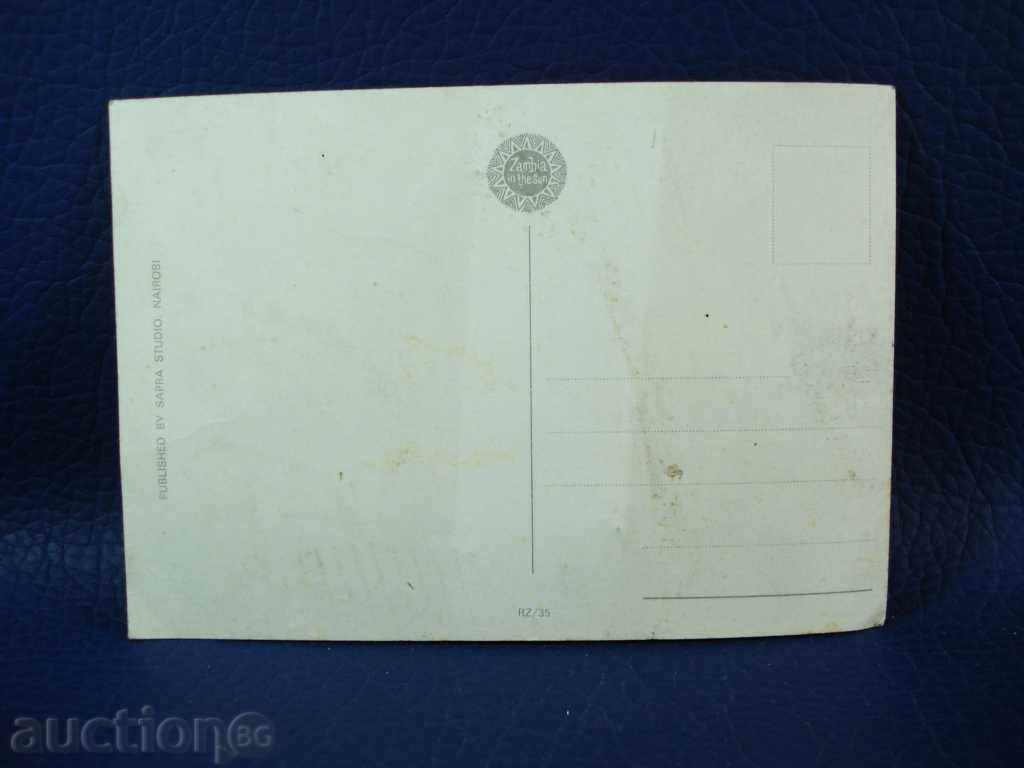 1595 Card from Elephant Park in Zambia Card 70s with price 1.00 BGN | € 0.51 1595 Card from Elephant Park in Zambia Card 70s with price 1.00 BGN | € 0.51