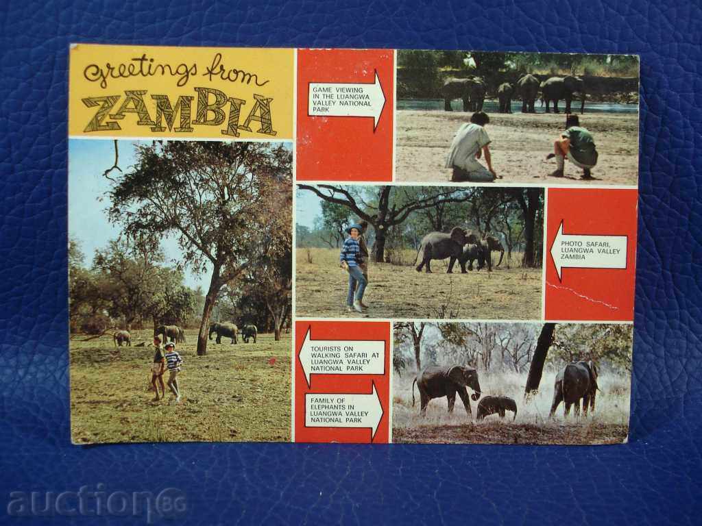 1595 Καρτ ποστάλ από το πάρκο ελεφάντων στη Ζάμπια κάρτα 70