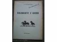 „Colică la cai“ Svetoslav Nikov