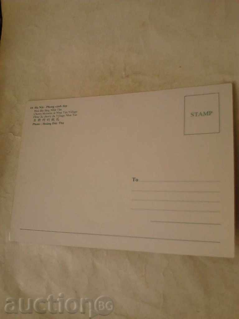 P K Ha Noi Cherry Blossom at Nhat Tan Village with price 0.45 BGN | € 0.23 P K Ha Noi Cherry Blossom at Nhat Tan Village with price 0.45 BGN | € 0.23