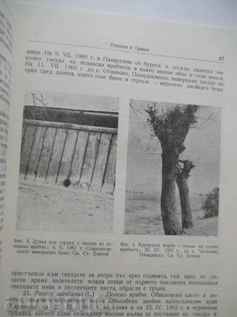 Δημοπρασία Πανίδα της Θράκης. Μέρος 1 1964 Δημοπρασία Πανίδα της Θράκης. Μέρος 1 1964