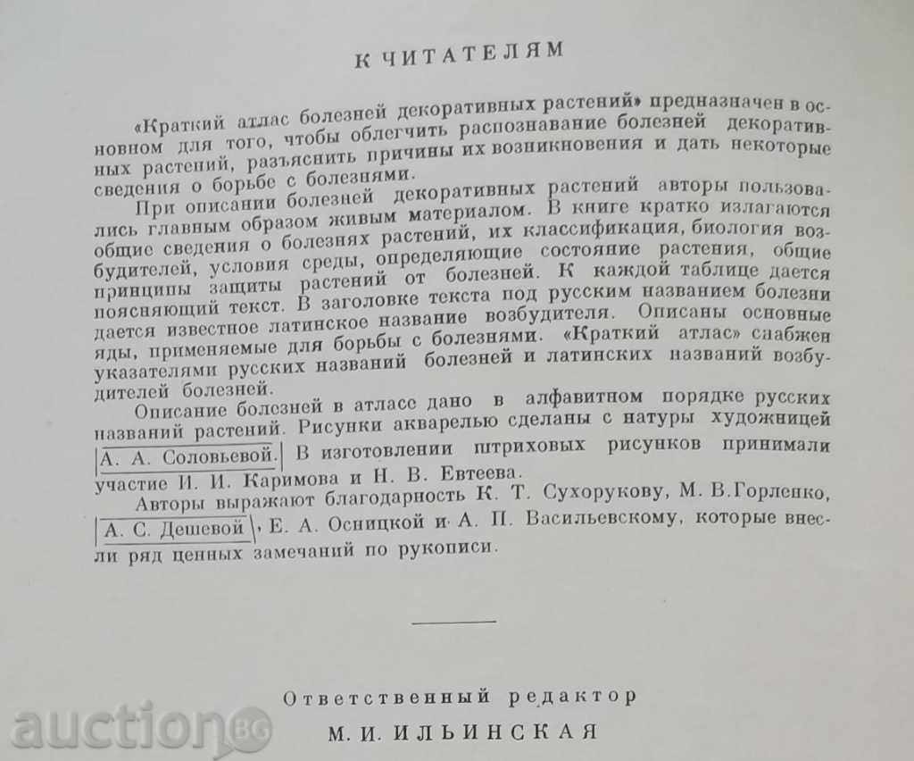 Auction Краткий атлас болезней декоративных растений - Percent Auction Краткий атлас болезней декоративных растений - Percent