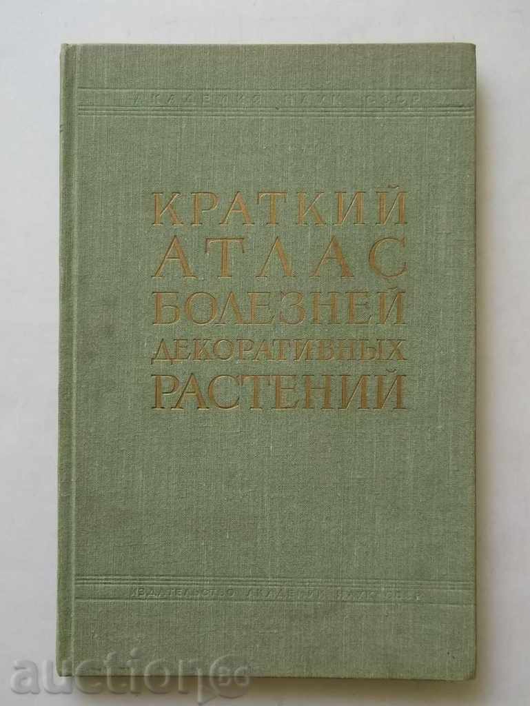 Kratkiy Atlas φυτό bolezney dekorativnыh - Προτσένκο