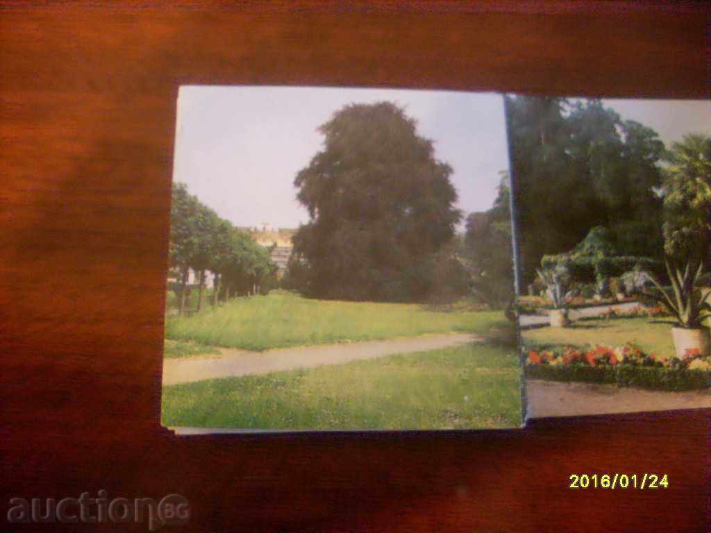 OLD CARD HARMONICA GDR PARK SANSUSSI - 5 OLD CARD HARMONICA GDR PARK SANSUSSI - 5